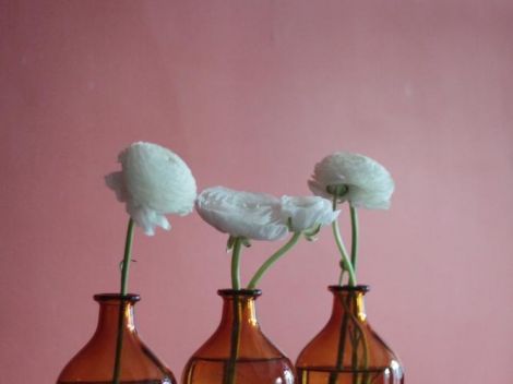 LES FLACONS DE PHARMACIE