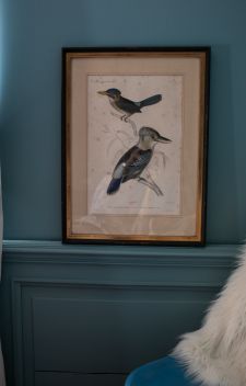 LA GRAVURE AUX OISEAUX